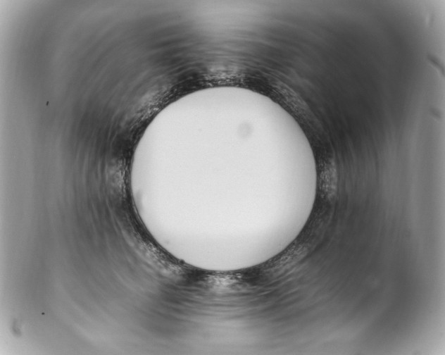 X0000102250662200808151818