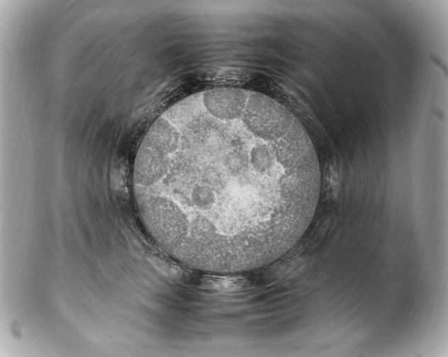 X0000102250663200808151818