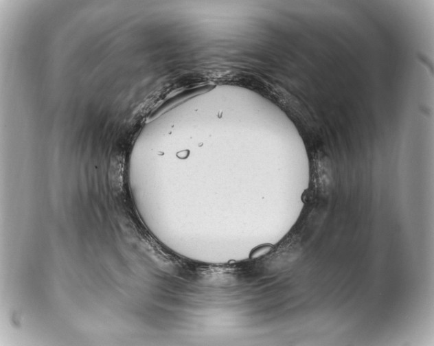 X0000102250664200808151818