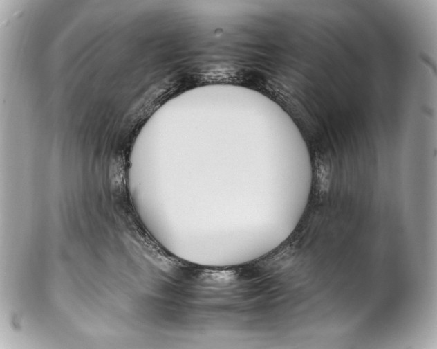 X0000102250665200808151818