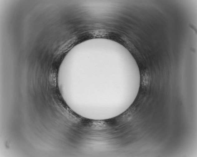 X0000102250666200808151818