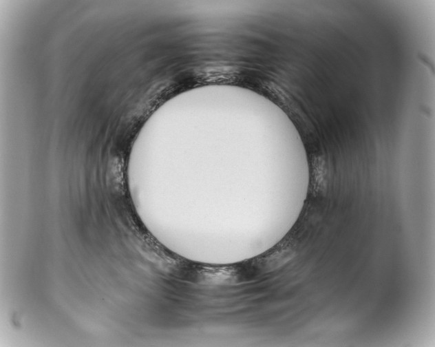 X0000102250667200808151818