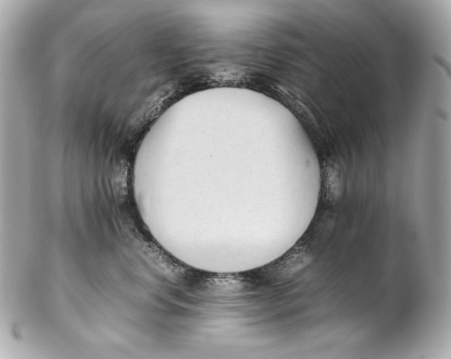 X0000102250668200808151818