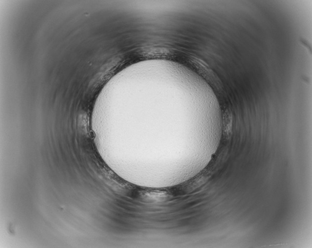 X0000102250669200808151818