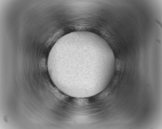 X0000102250670200808151818