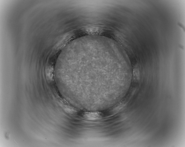 X0000102250671200808151818