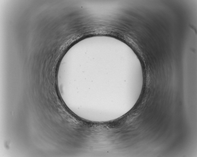 X0000102250673200808151818