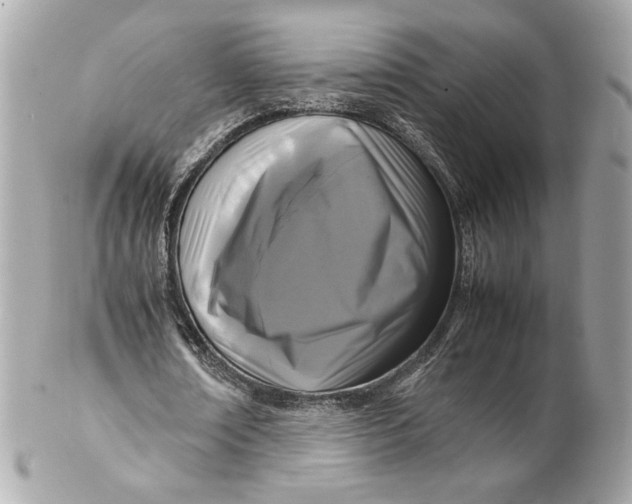 X0000102250674200808151818