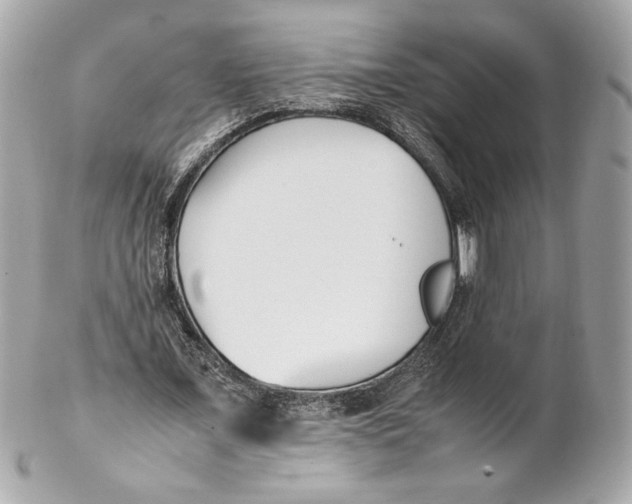 X0000102250675200808151818