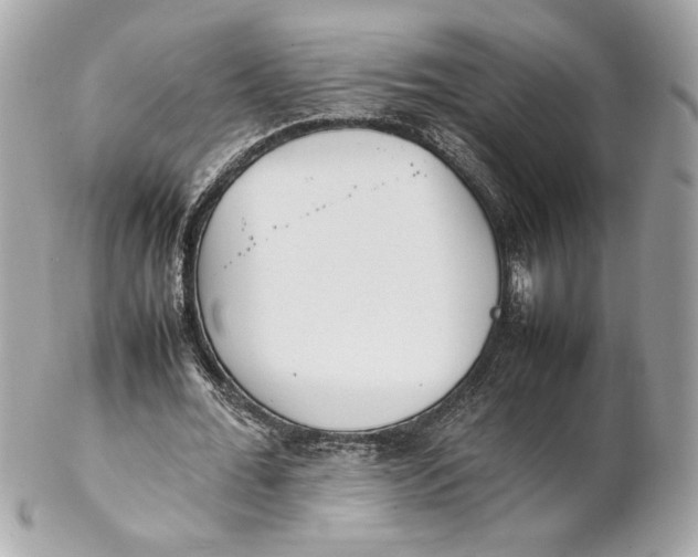 X0000102250676200808151818