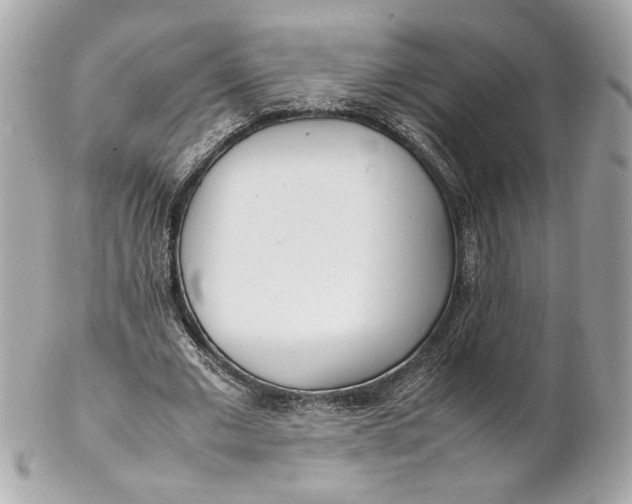 X0000102250677200808151818