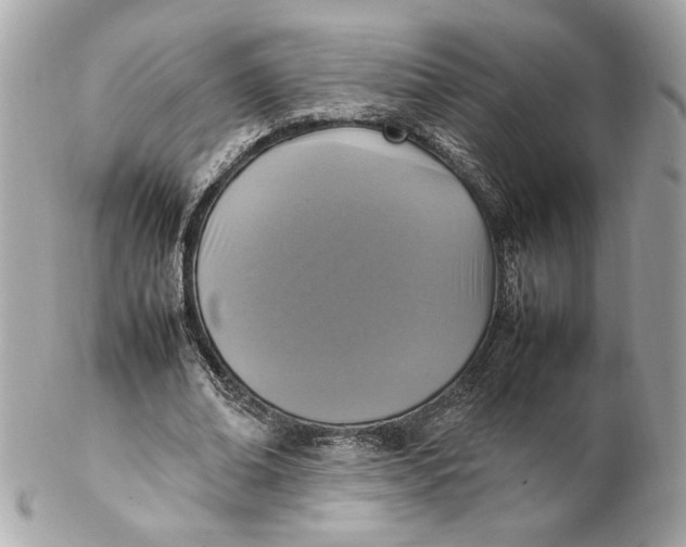 X0000102250678200808151818