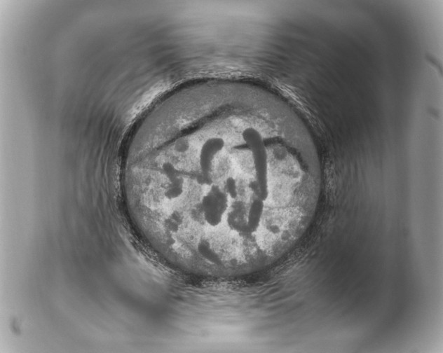 X0000102250679200808151818