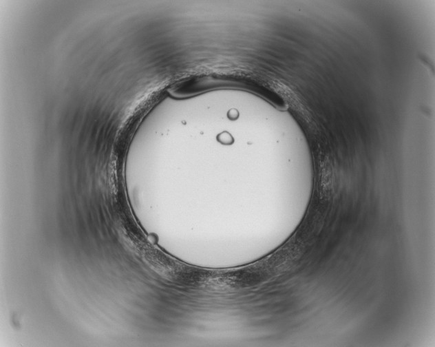 X0000102250680200808151818