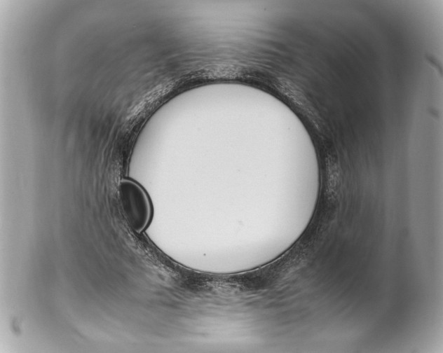 X0000102250681200808151818