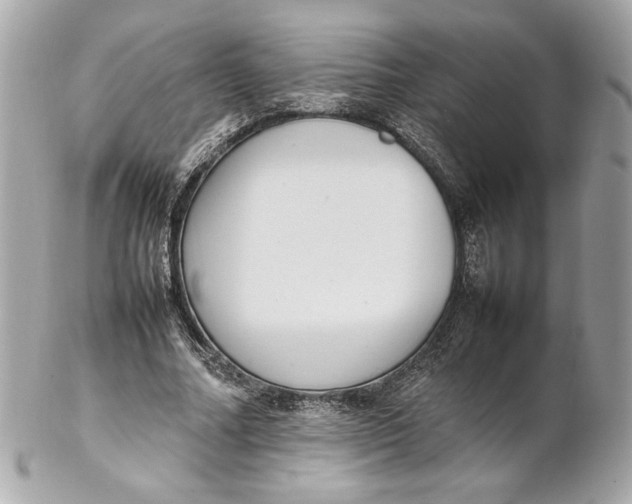 X0000102250682200808151818