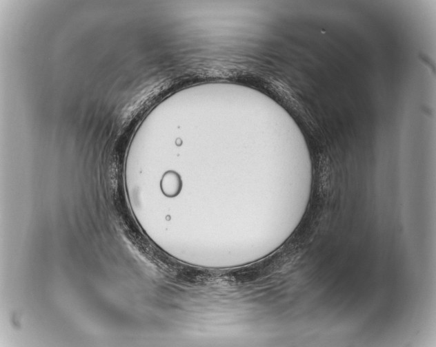 X0000102250683200808151818