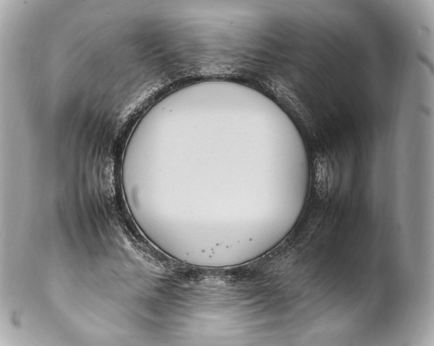 X0000102250684200808151818