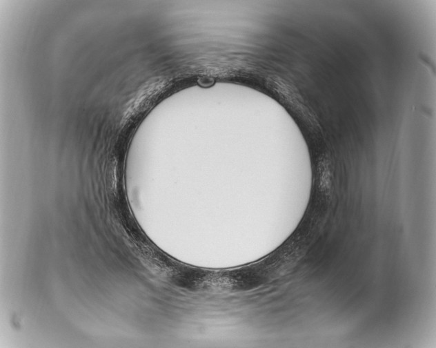 X0000102250685200808151818