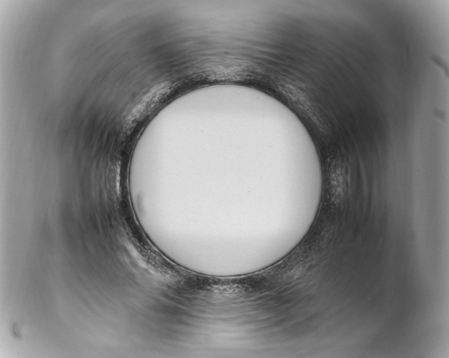 X0000102250686200808151818