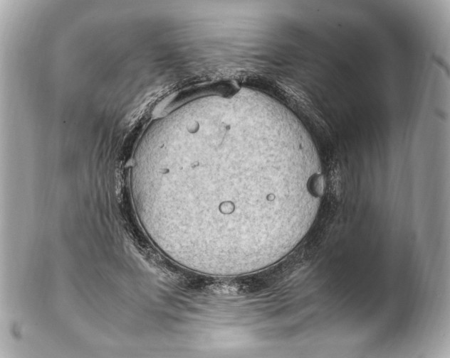 X0000102250687200808151818