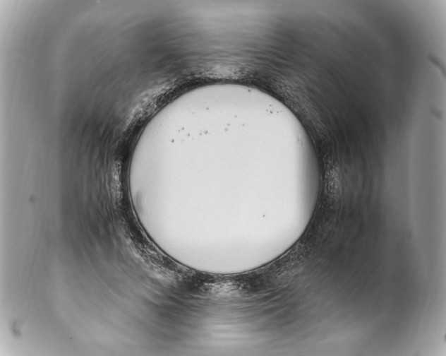 X0000102250688200808151817