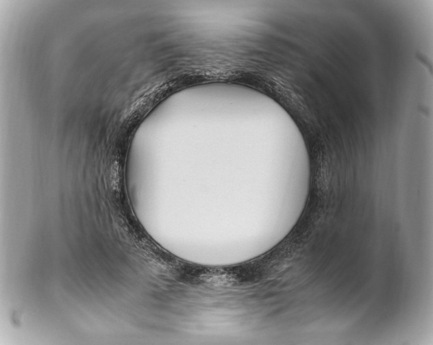 X0000102250689200808151817