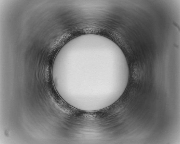 X0000102250690200808151817