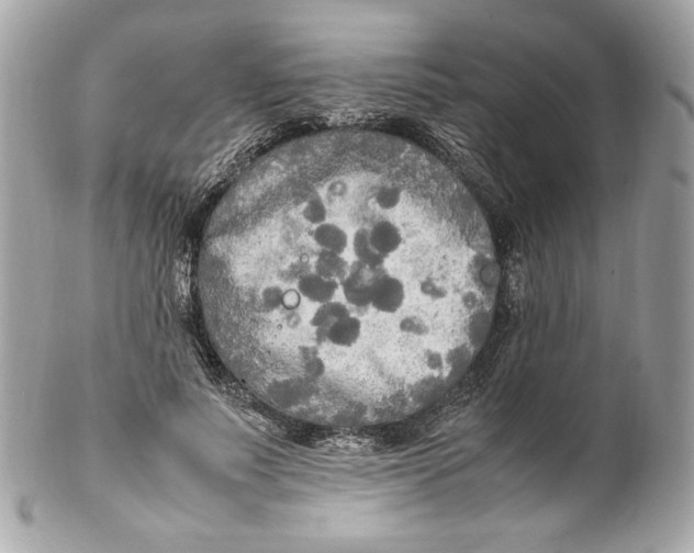 X0000102250691200808151817