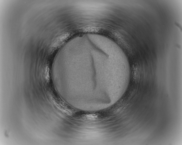 X0000102250692200808151817