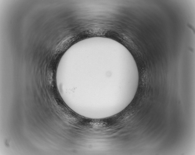 X0000102250693200808151817