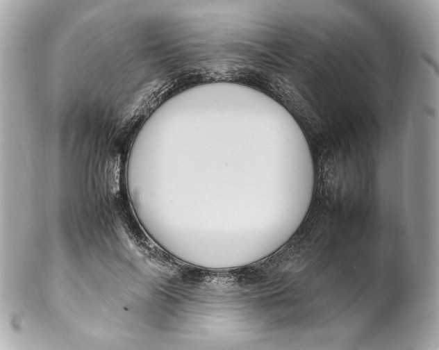 X0000102250694200808151817