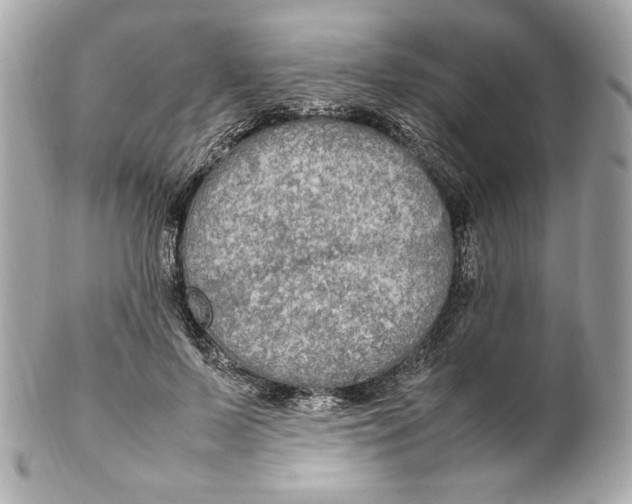 X0000102250695200808151817