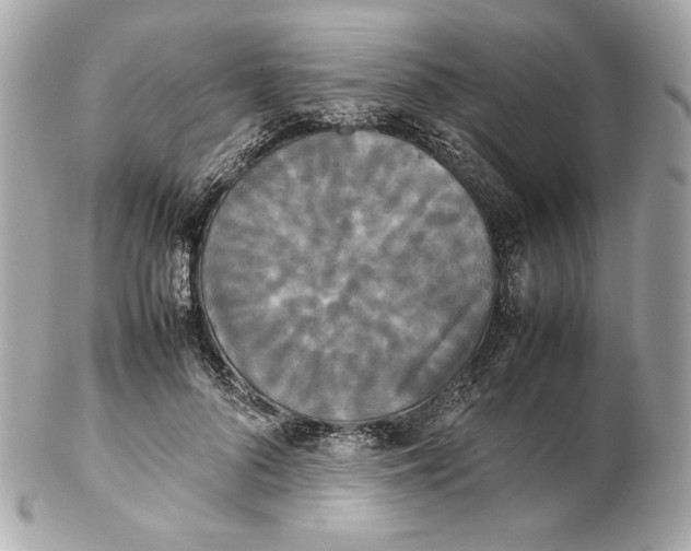 X0000102250696200808151817