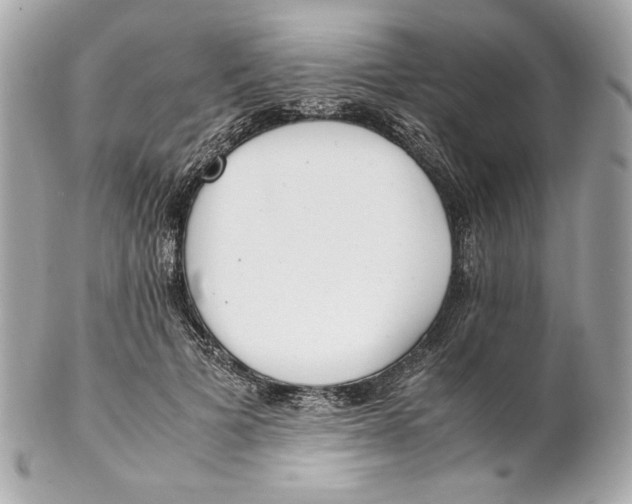 X0000102250697200808151817