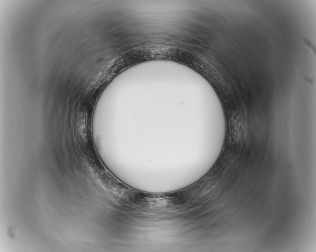 X0000102250698200808151817