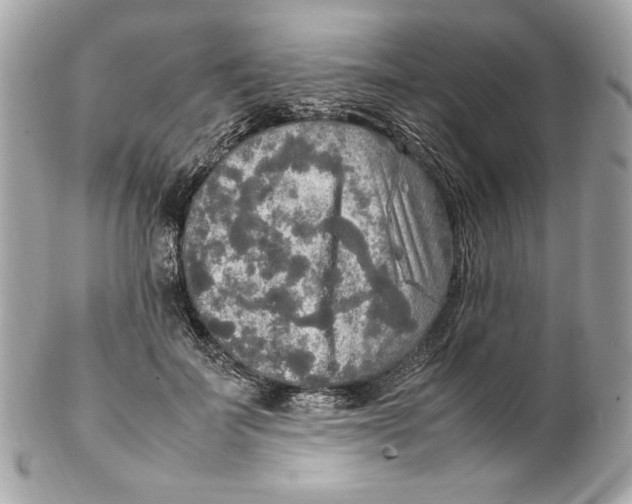 X0000102250699200808151817