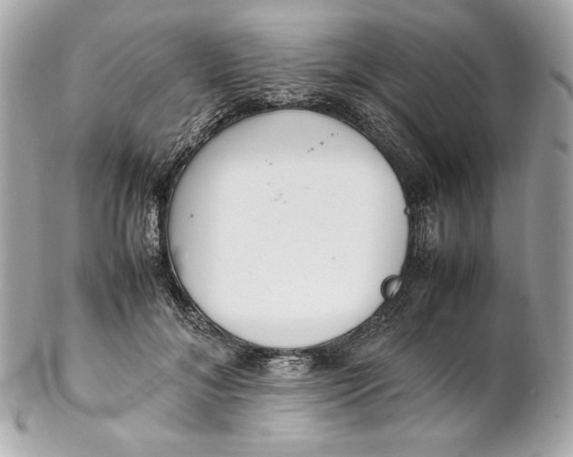 X0000102250700200808151817