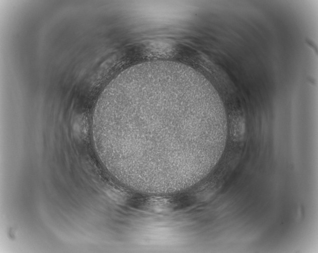 X0000102250701200808151817