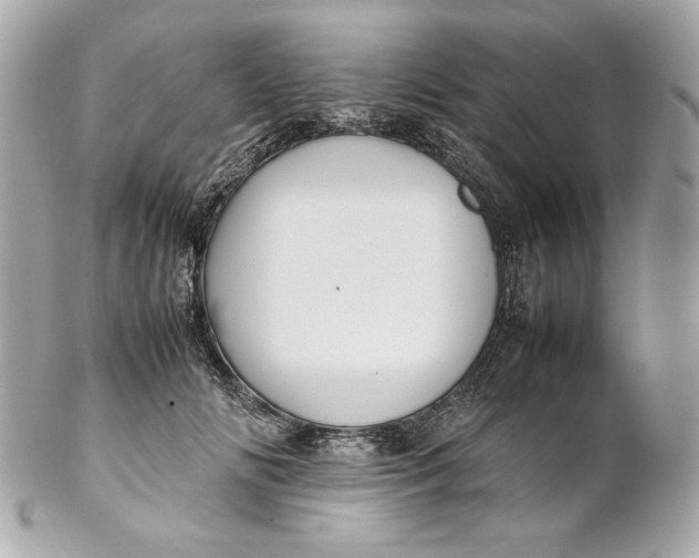 X0000102250702200808151817