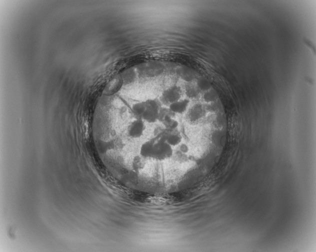 X0000102250703200808151817