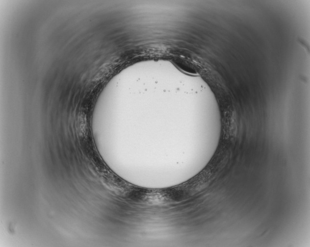 X0000102250704200808151817