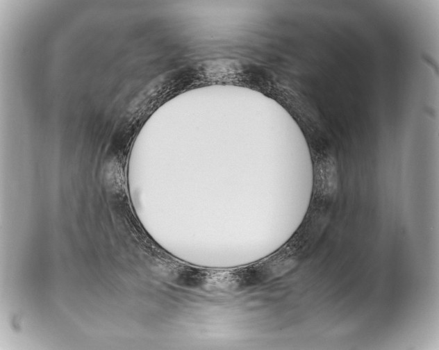 X0000102250705200808151817