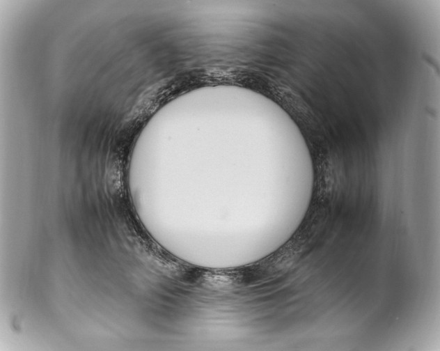 X0000102250706200808151817