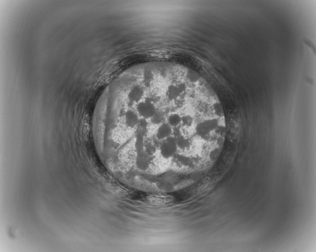 X0000102250707200808151817