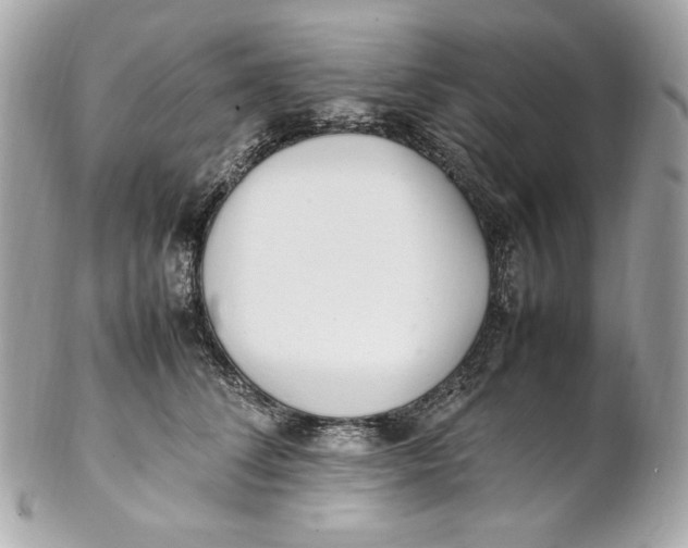 X0000102250708200808151817