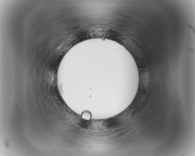 X0000102250709200808151817