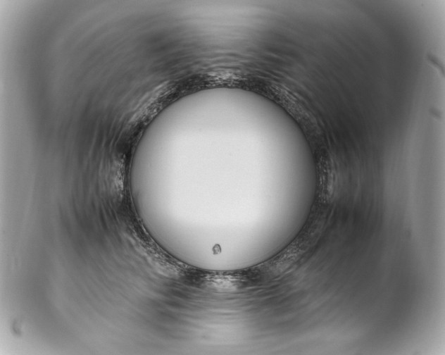 X0000102250710200808151817