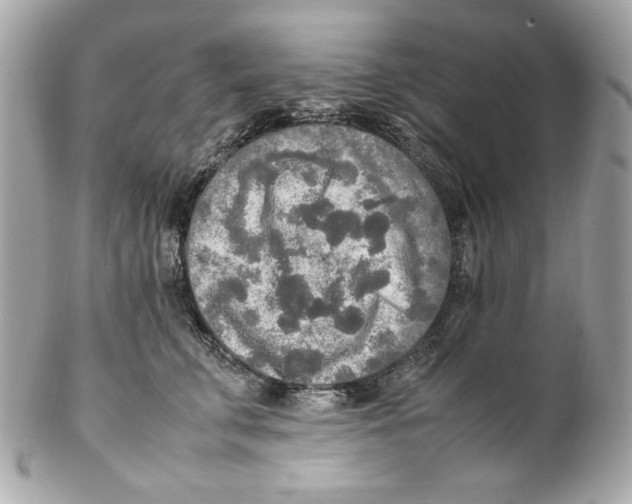 X0000102250711200808151817