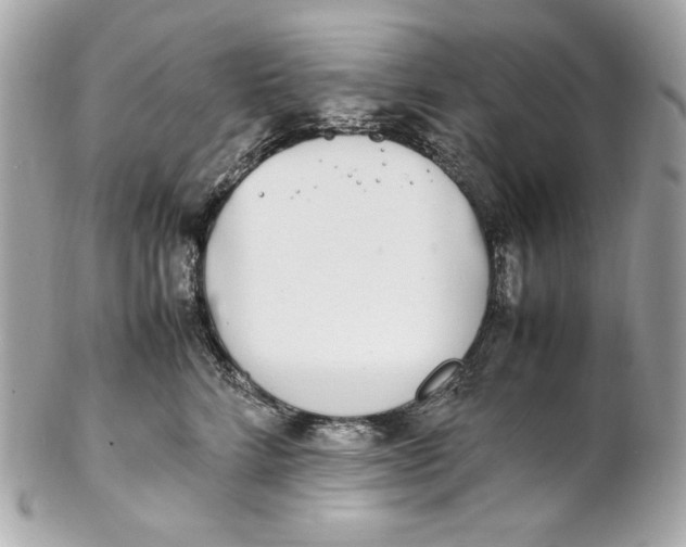 X0000102250712200808151817